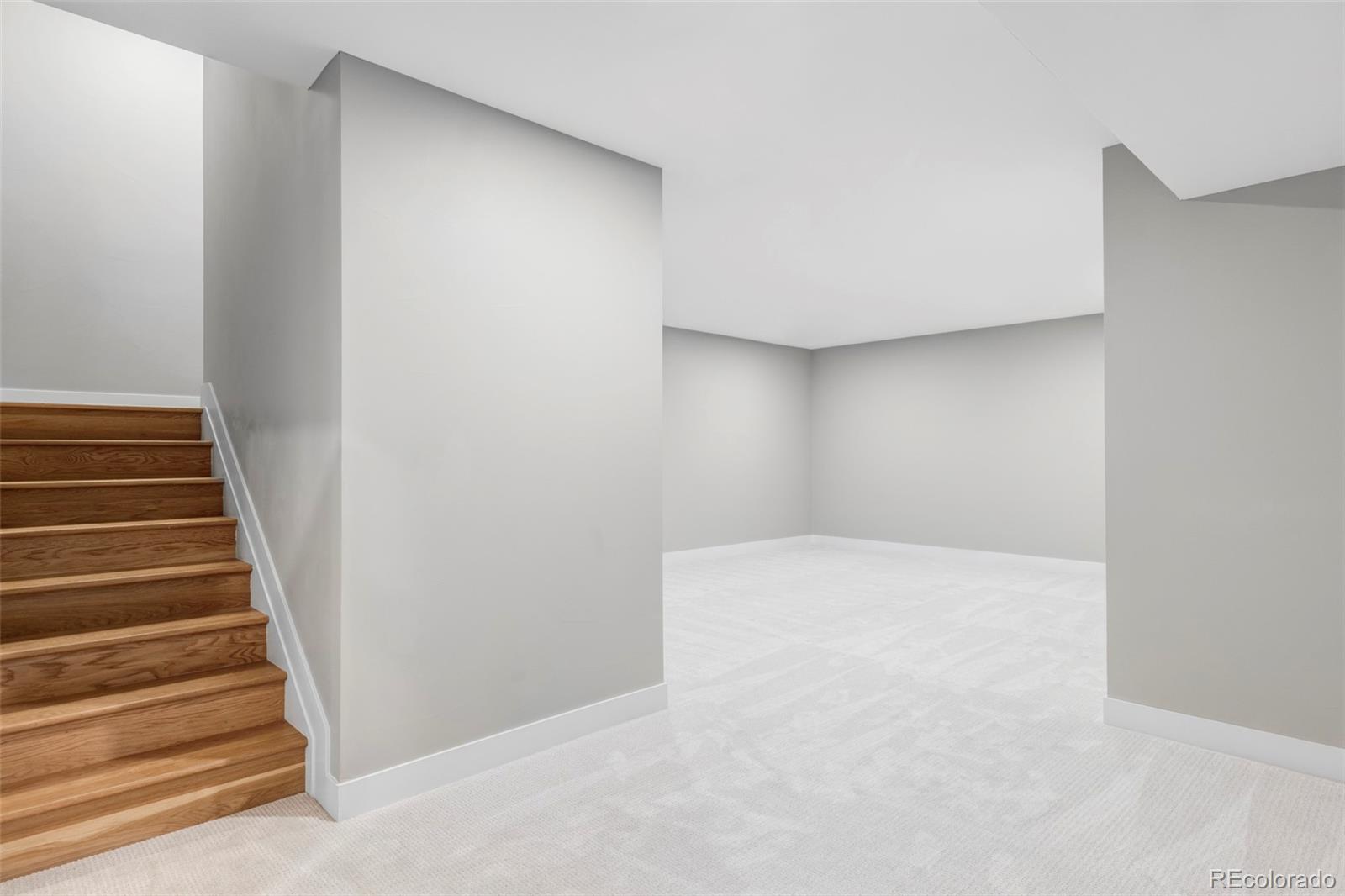 MLS Image #26 for 1543  glencoe street,denver, Colorado