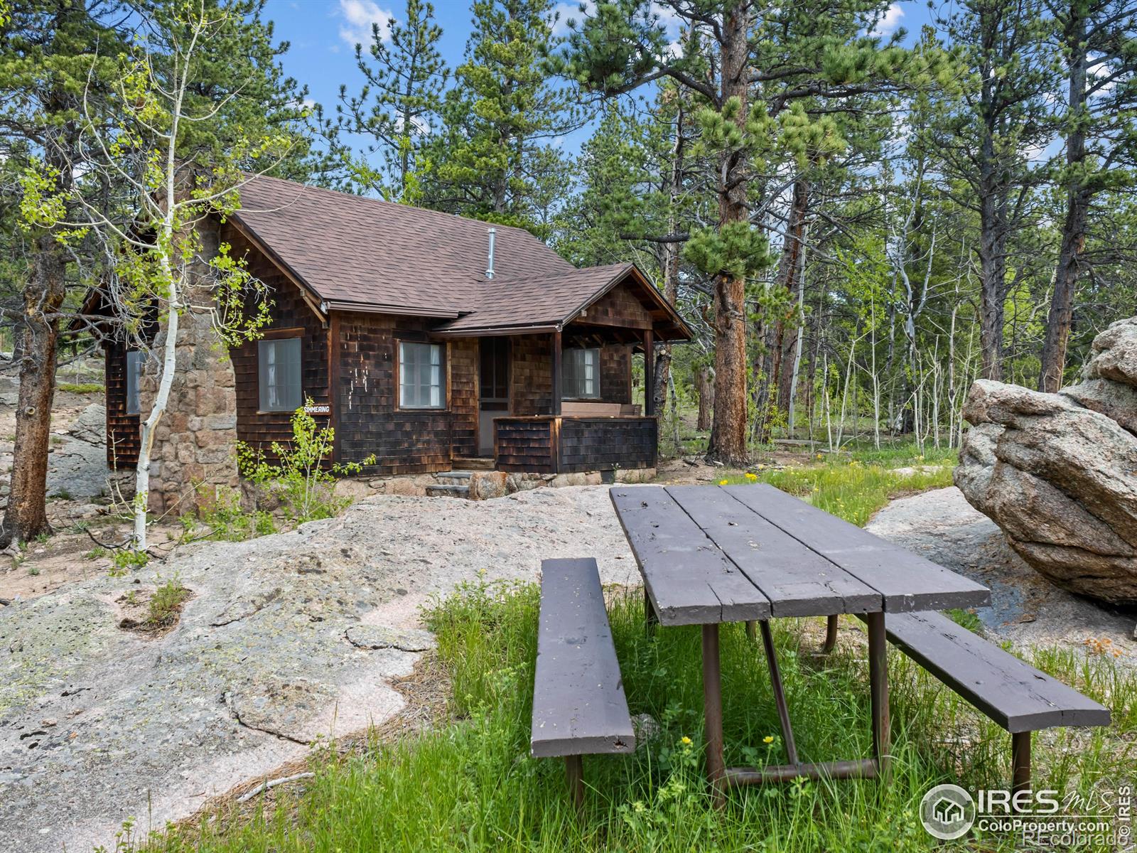 MLS Image #3 for 84  county road 113 ,allenspark, Colorado