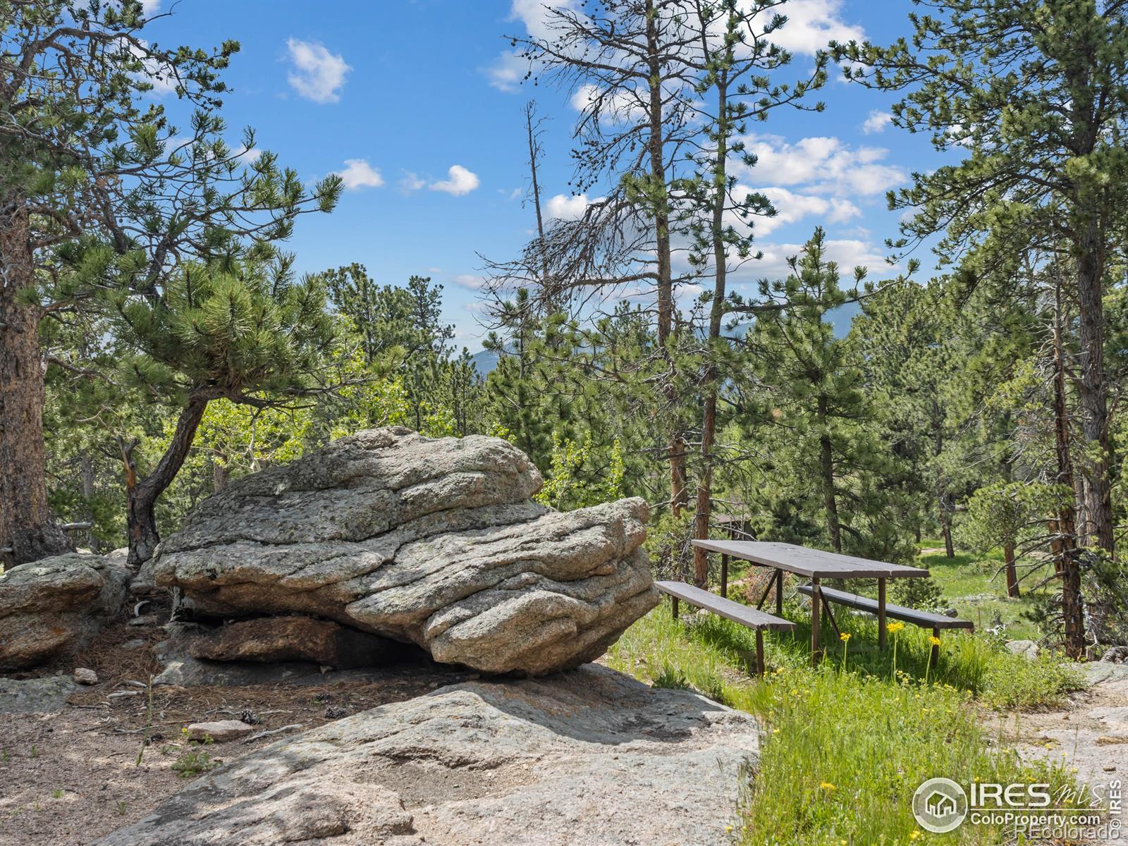 MLS Image #4 for 84  county road 113 ,allenspark, Colorado