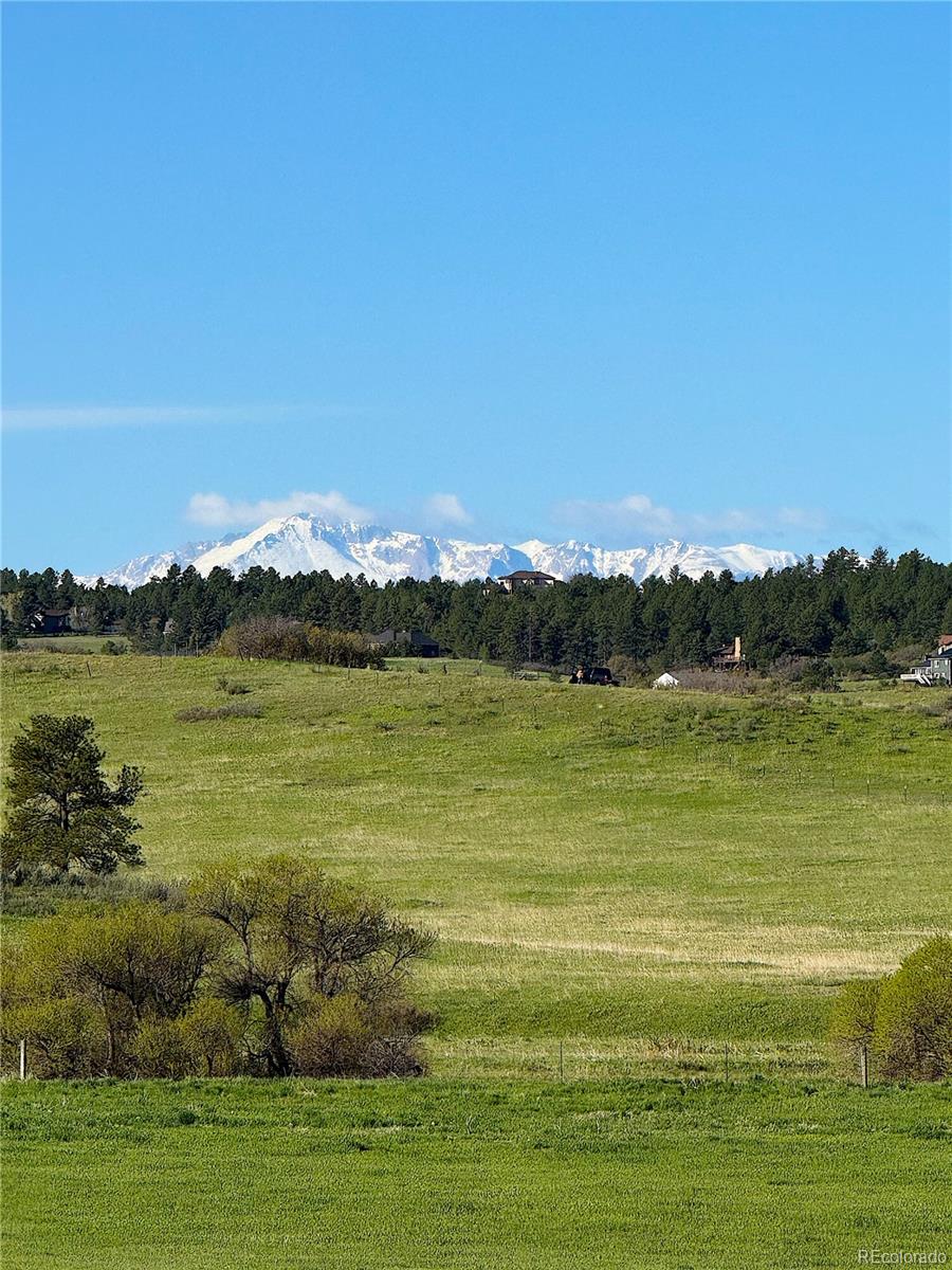 MLS Image #33 for 3125  red kit road,franktown, Colorado