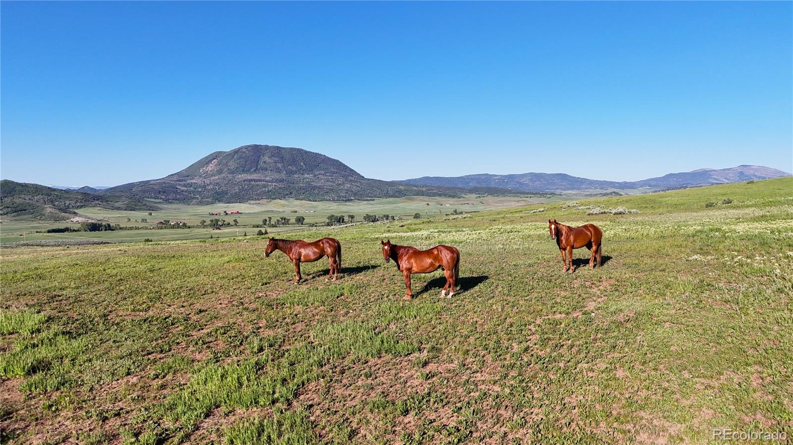 MLS Image #2 for 26000  wheeler creek lane,steamboat springs, Colorado