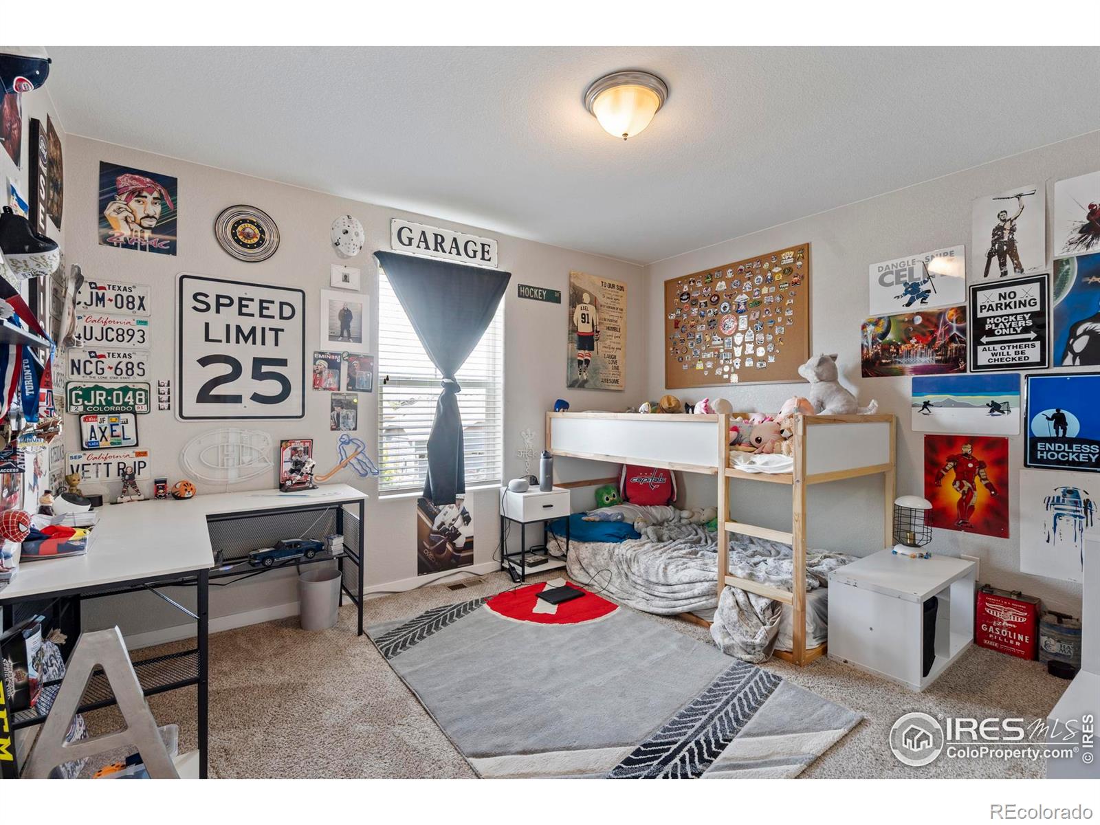 MLS Image #19 for 2332  tabor street,berthoud, Colorado