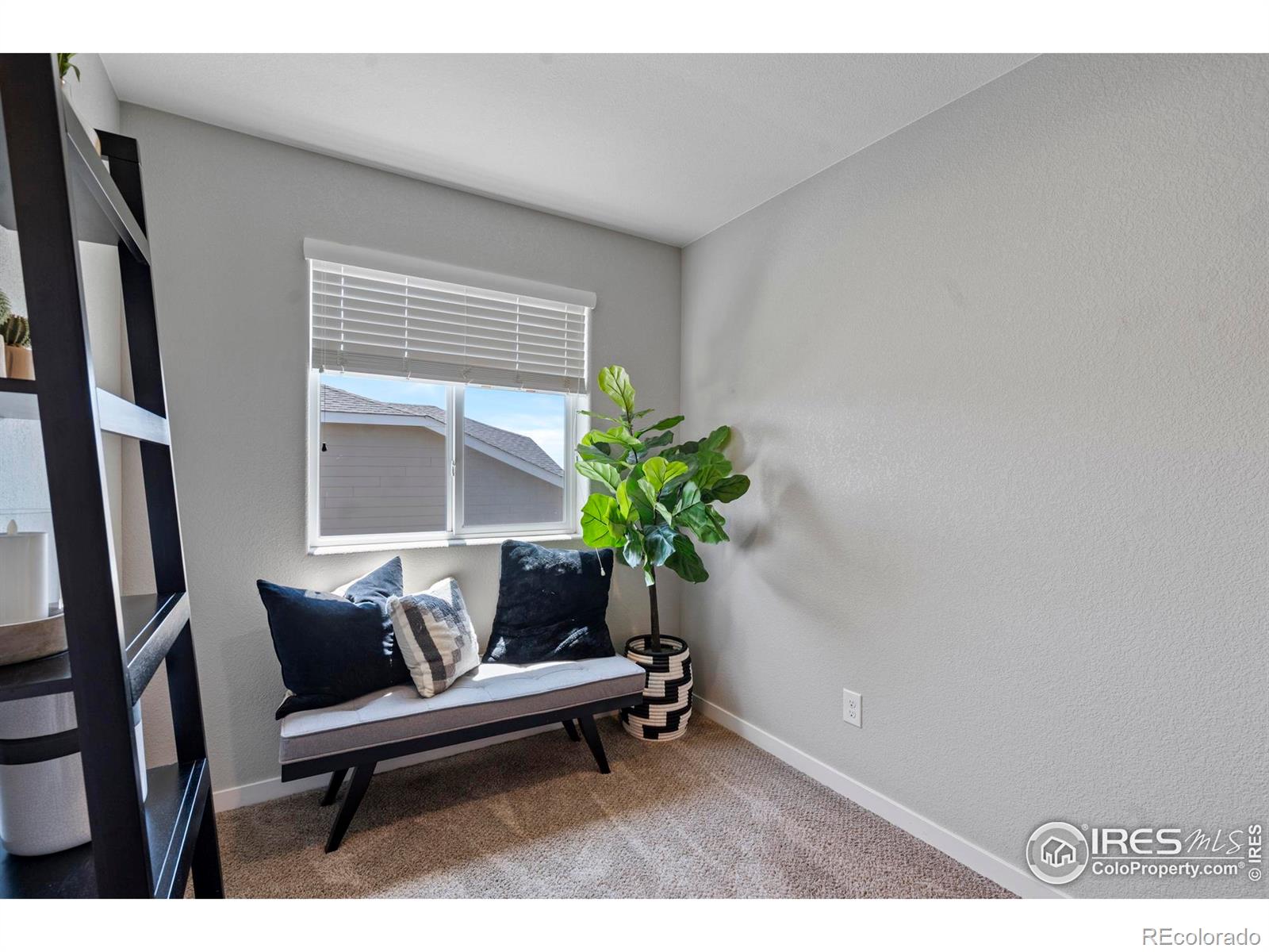 MLS Image #21 for 2332  tabor street,berthoud, Colorado