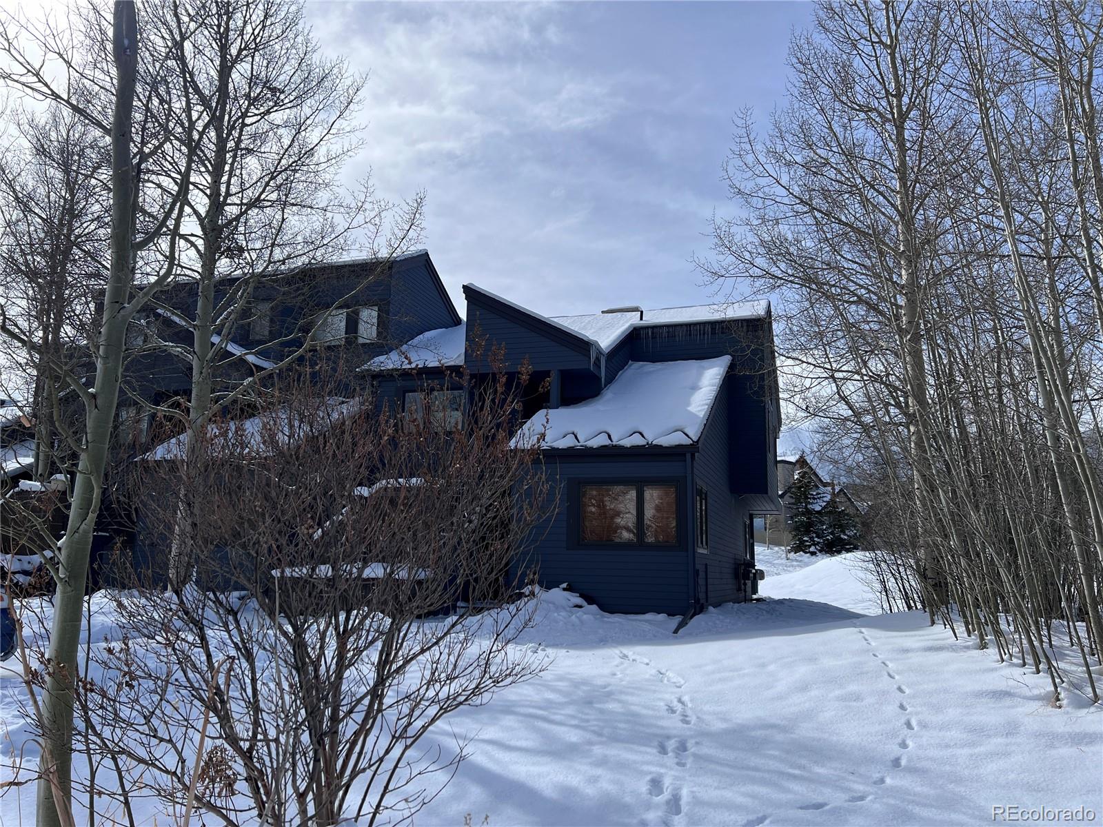 MLS Image #22 for 101  blue grouse lane,silverthorne, Colorado