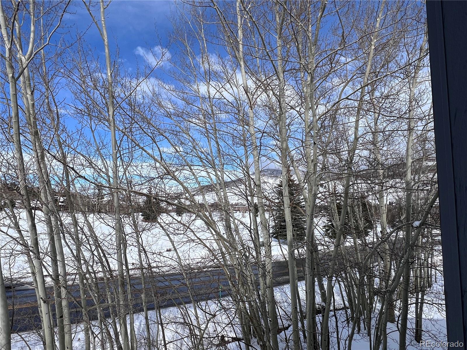 MLS Image #25 for 101  blue grouse lane,silverthorne, Colorado