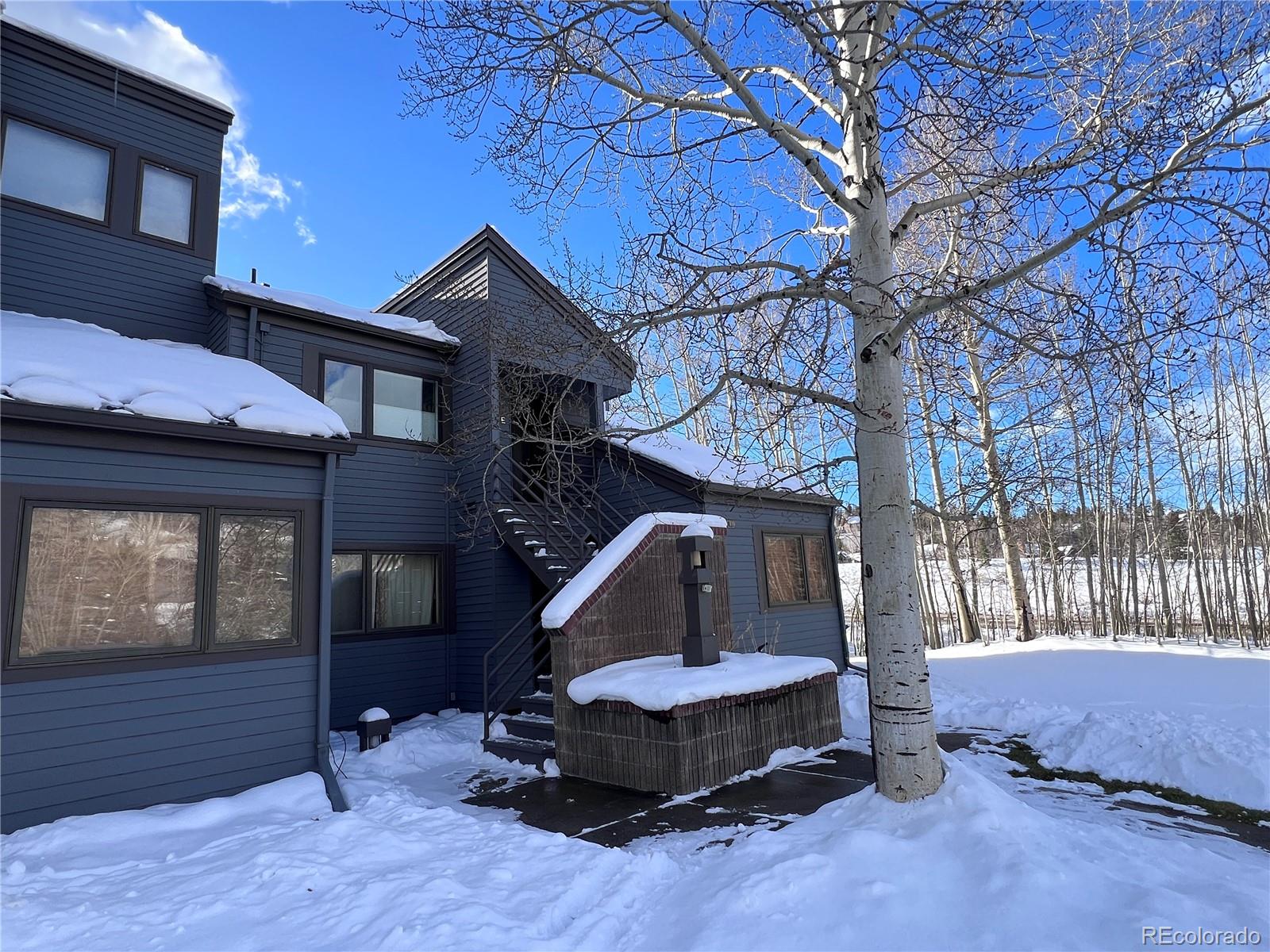 MLS Image #31 for 101  blue grouse lane,silverthorne, Colorado