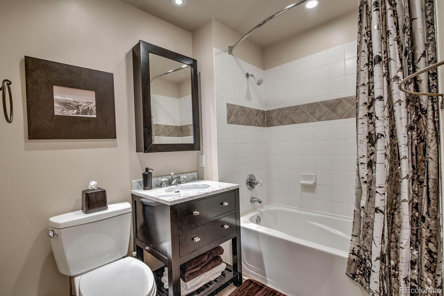 MLS Image #12 for 105  wheeler circle,frisco, Colorado