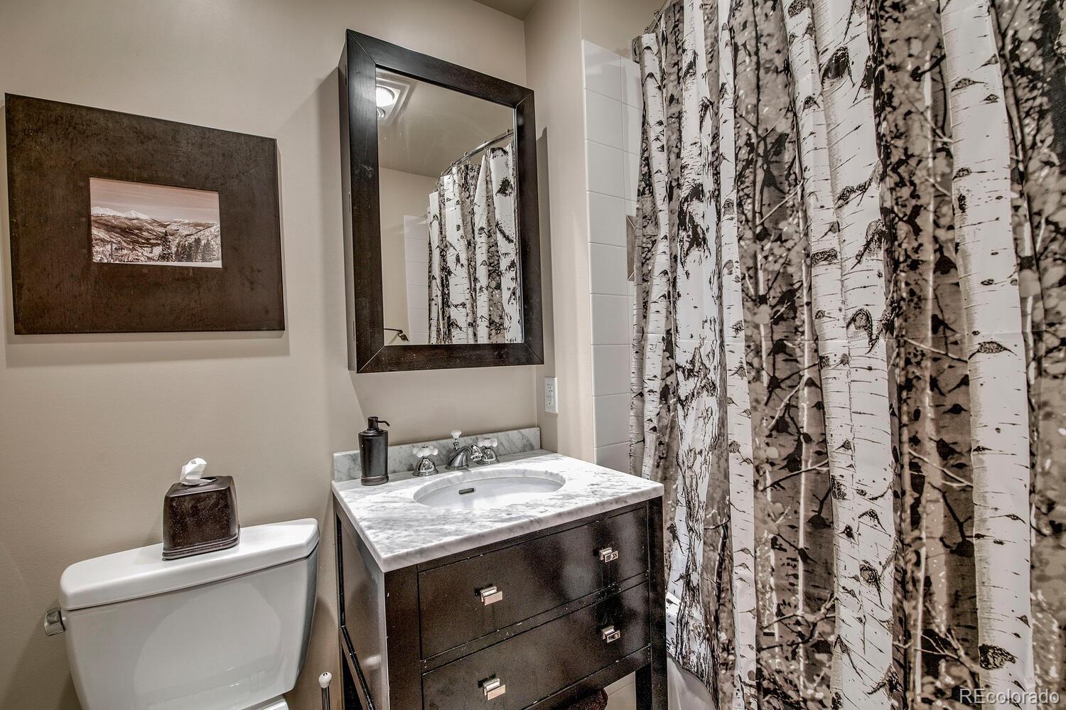 MLS Image #15 for 105  wheeler circle,frisco, Colorado