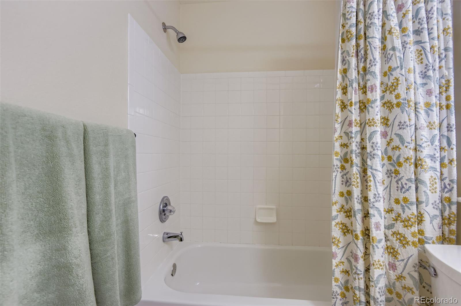MLS Image #20 for 9690  silverberry circle,highlands ranch, Colorado