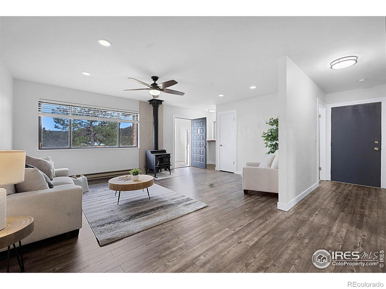 MLS Image #4 for 1278  cucharas mountain drive,livermore, Colorado