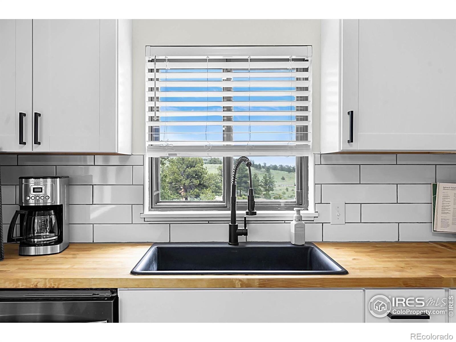 MLS Image #6 for 1278  cucharas mountain drive,livermore, Colorado