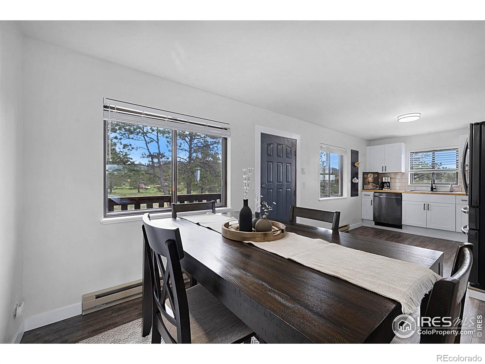 MLS Image #9 for 1278  cucharas mountain drive,livermore, Colorado