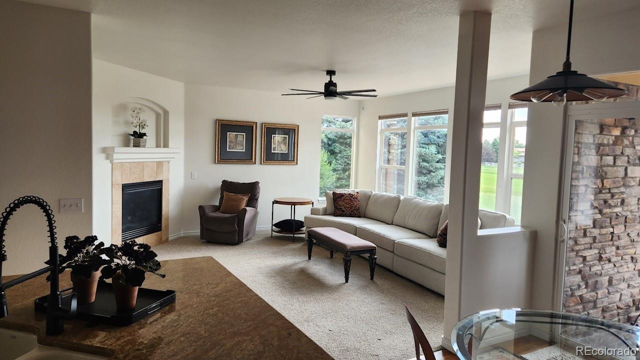 MLS Image #3 for 14232  piney river road,broomfield, Colorado
