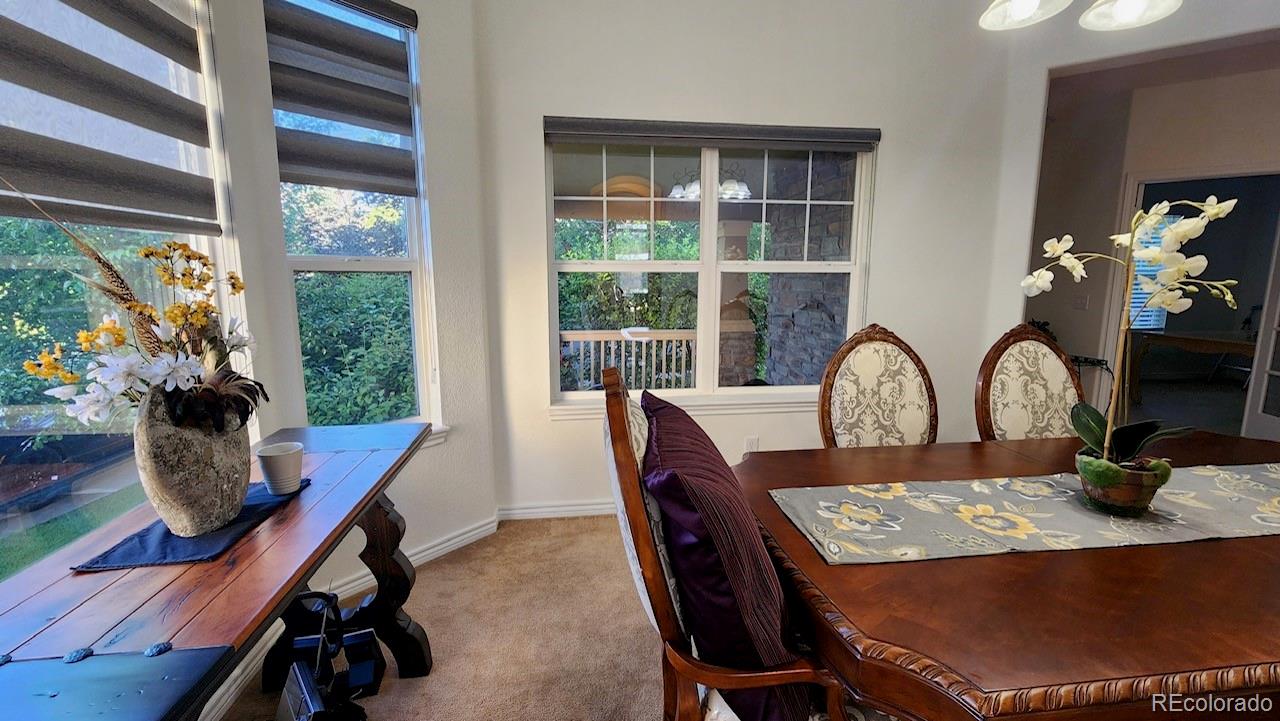 MLS Image #9 for 14232  piney river road,broomfield, Colorado