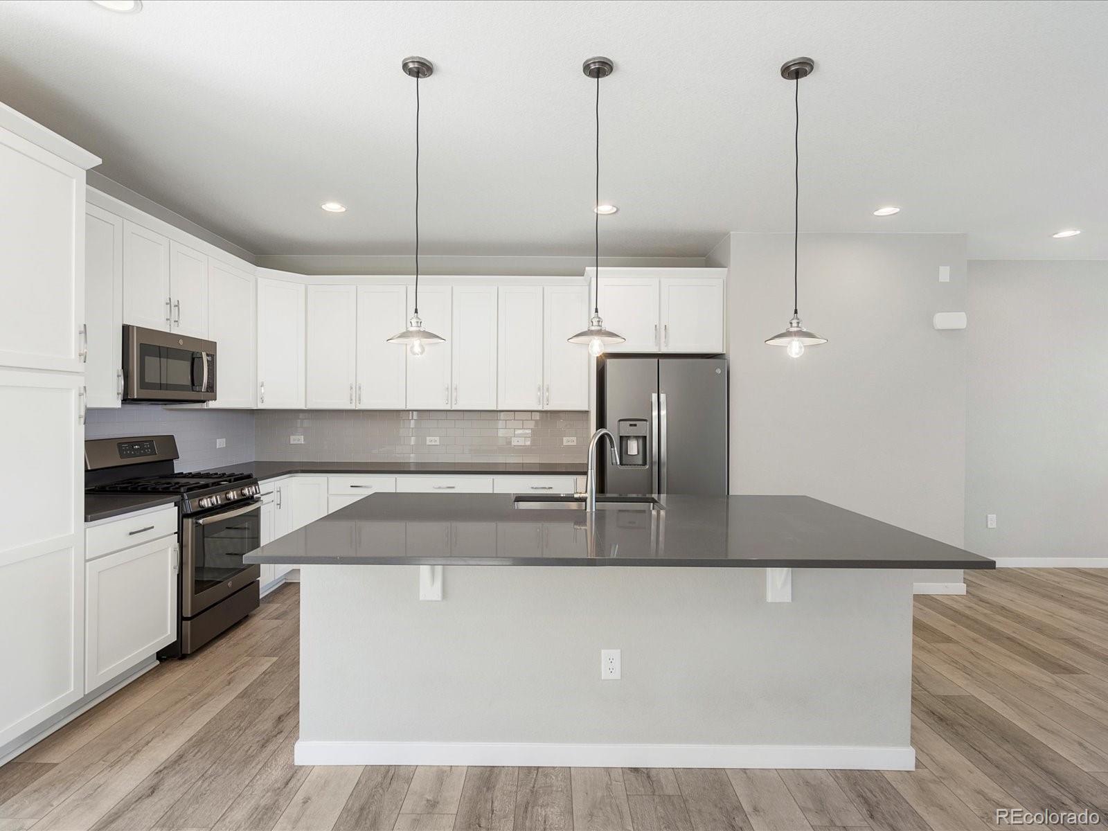 MLS Image #10 for 3654  penang drive,castle rock, Colorado