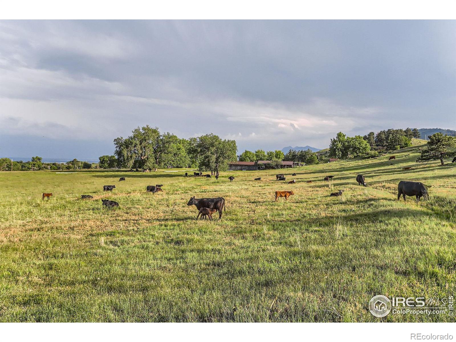 MLS Image #25 for 8241 n foothills highway,boulder, Colorado