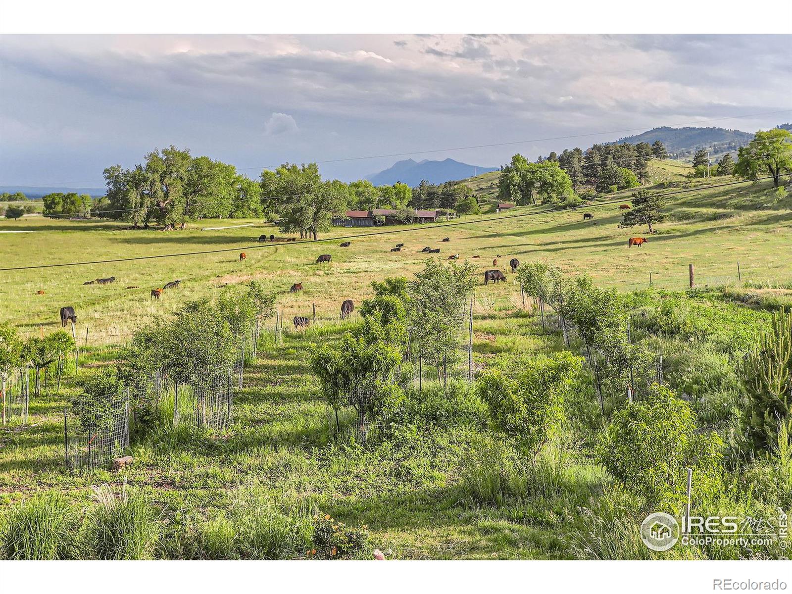MLS Image #28 for 8241 n foothills highway,boulder, Colorado