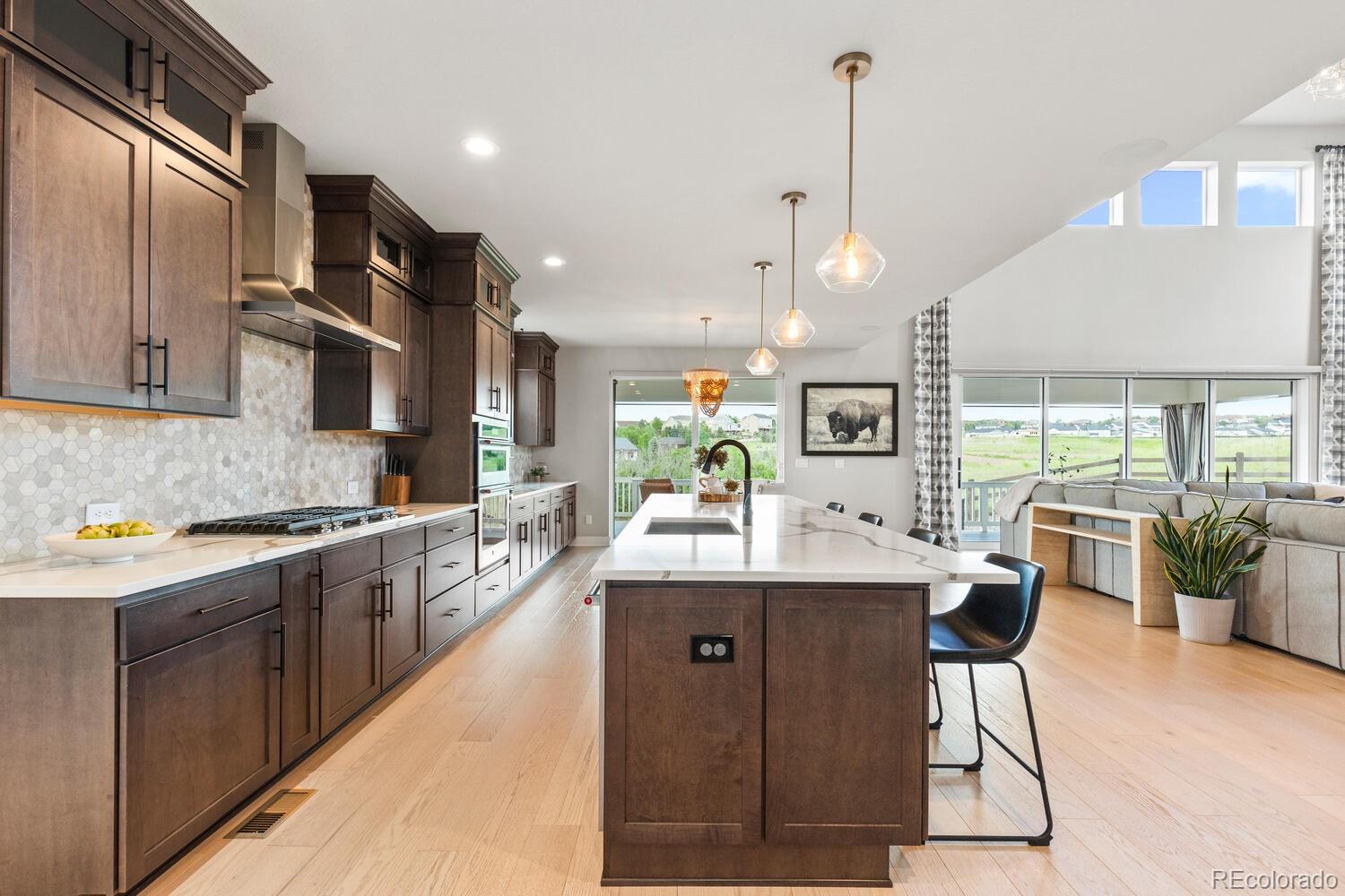MLS Image #9 for 423  rogers way,castle rock, Colorado