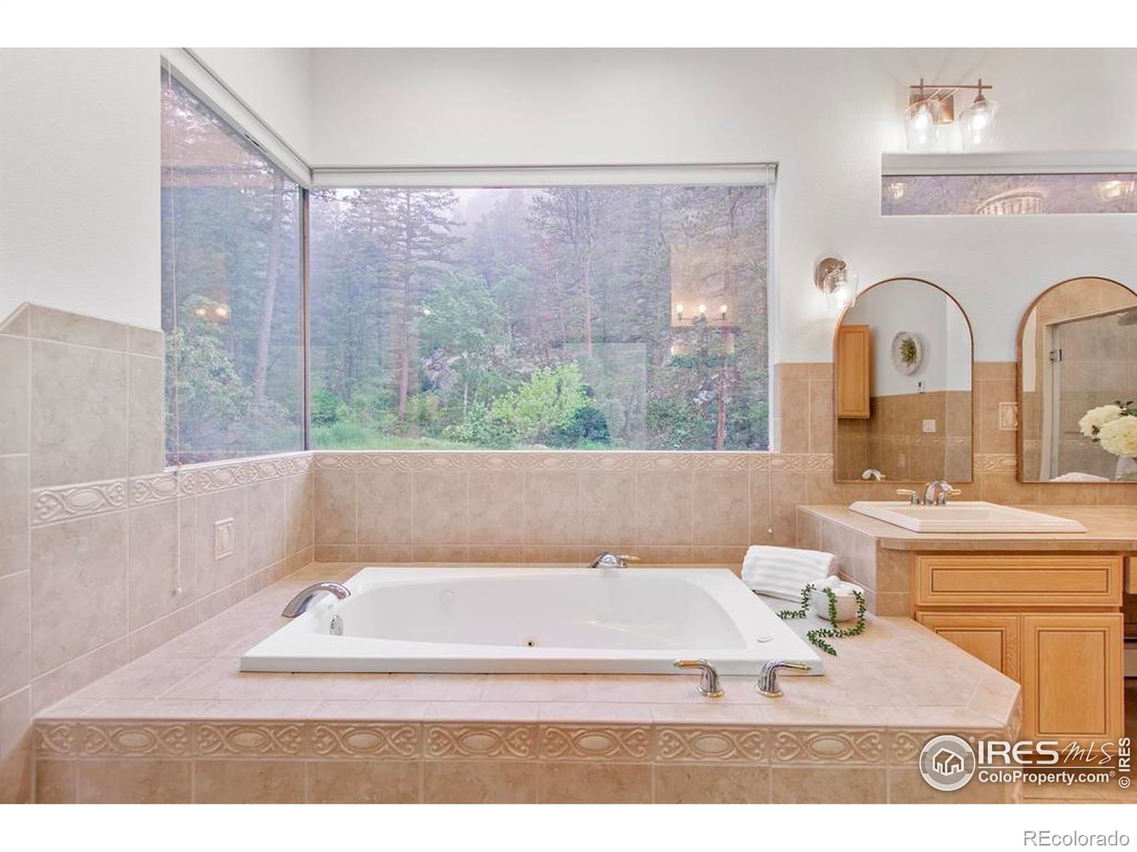 MLS Image #18 for 11042 n saint vrain drive,lyons, Colorado