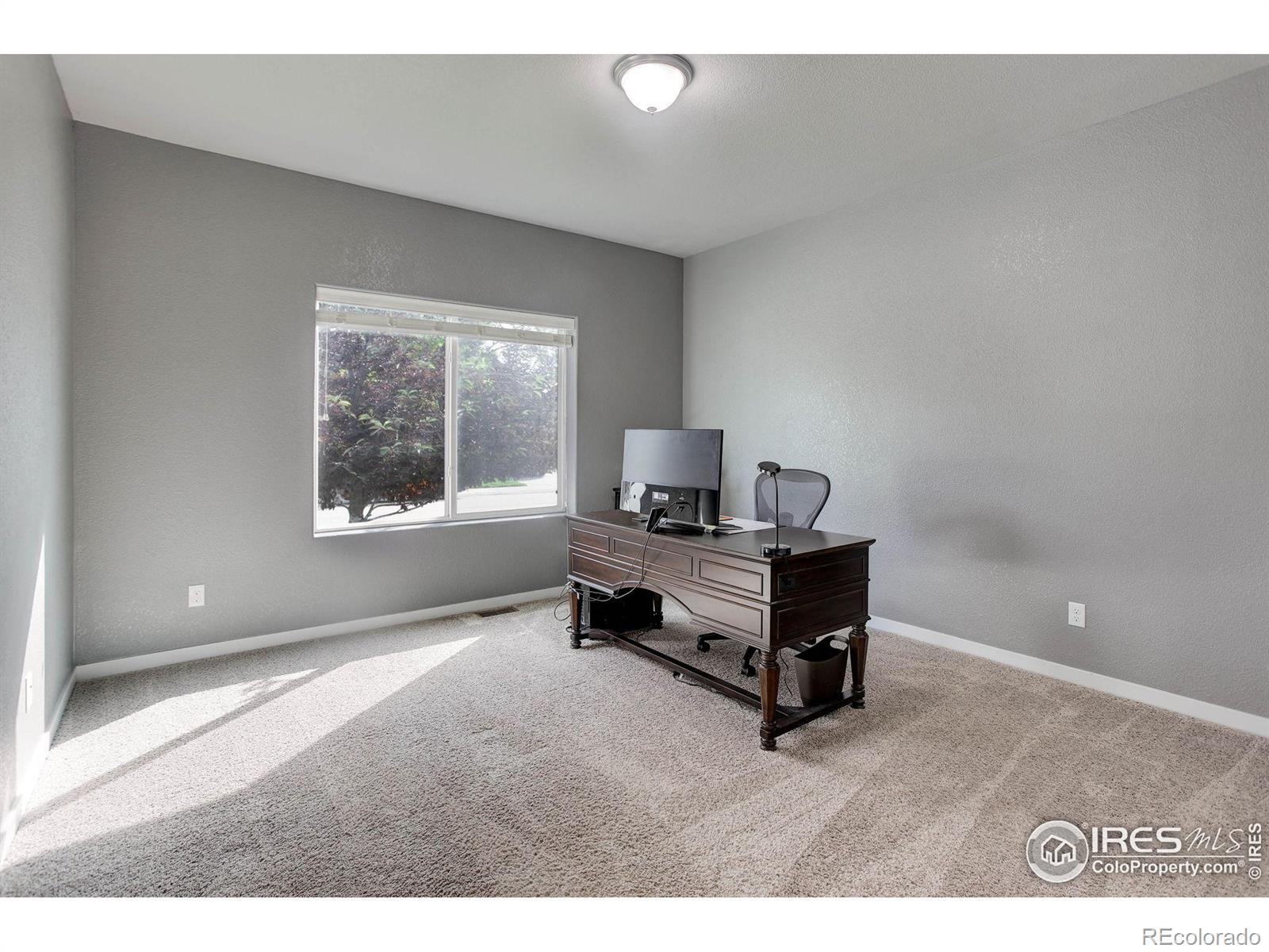 MLS Image #17 for 2944  hydra drive,loveland, Colorado