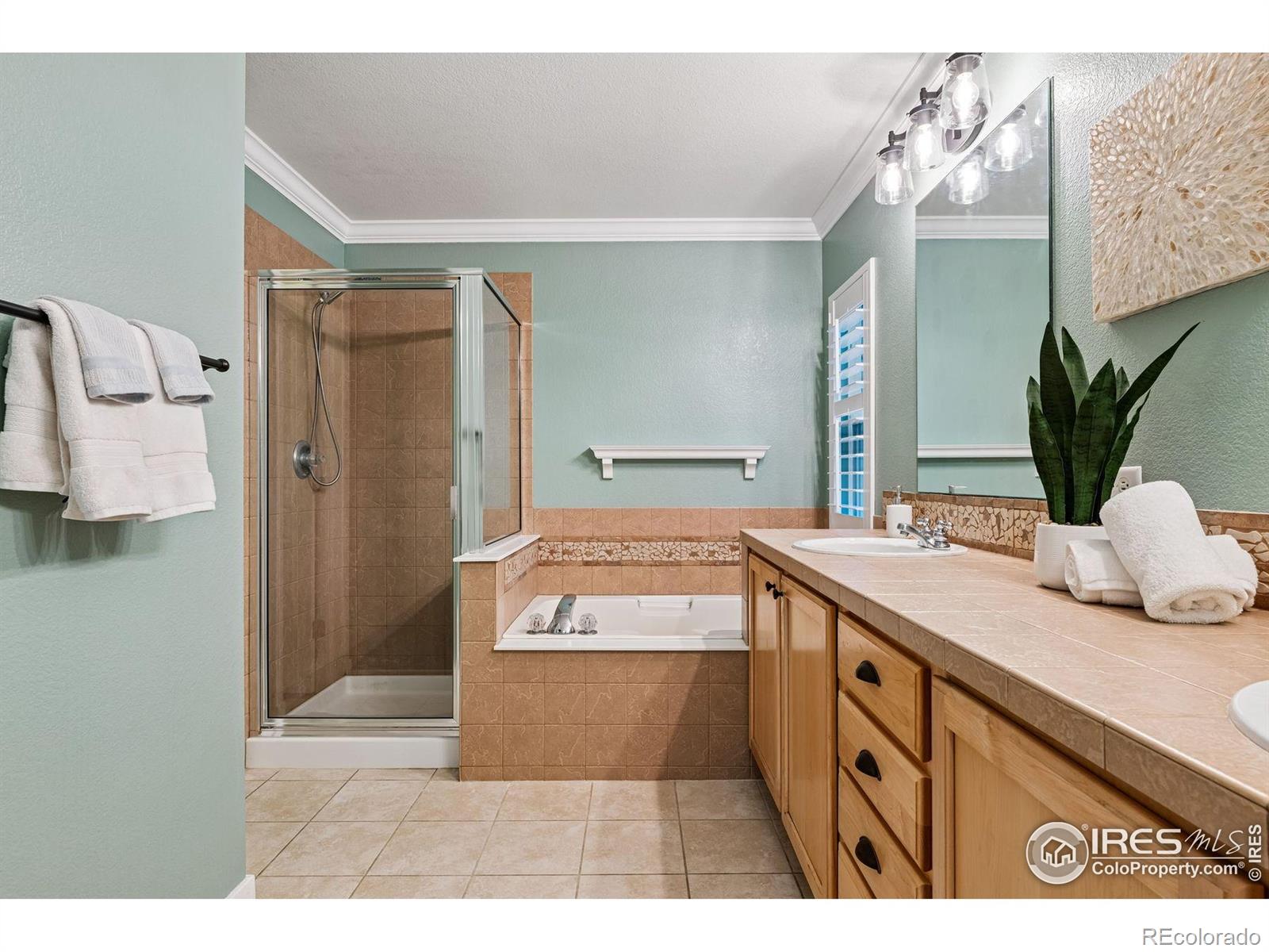 MLS Image #17 for 2703  rock creek drive,fort collins, Colorado