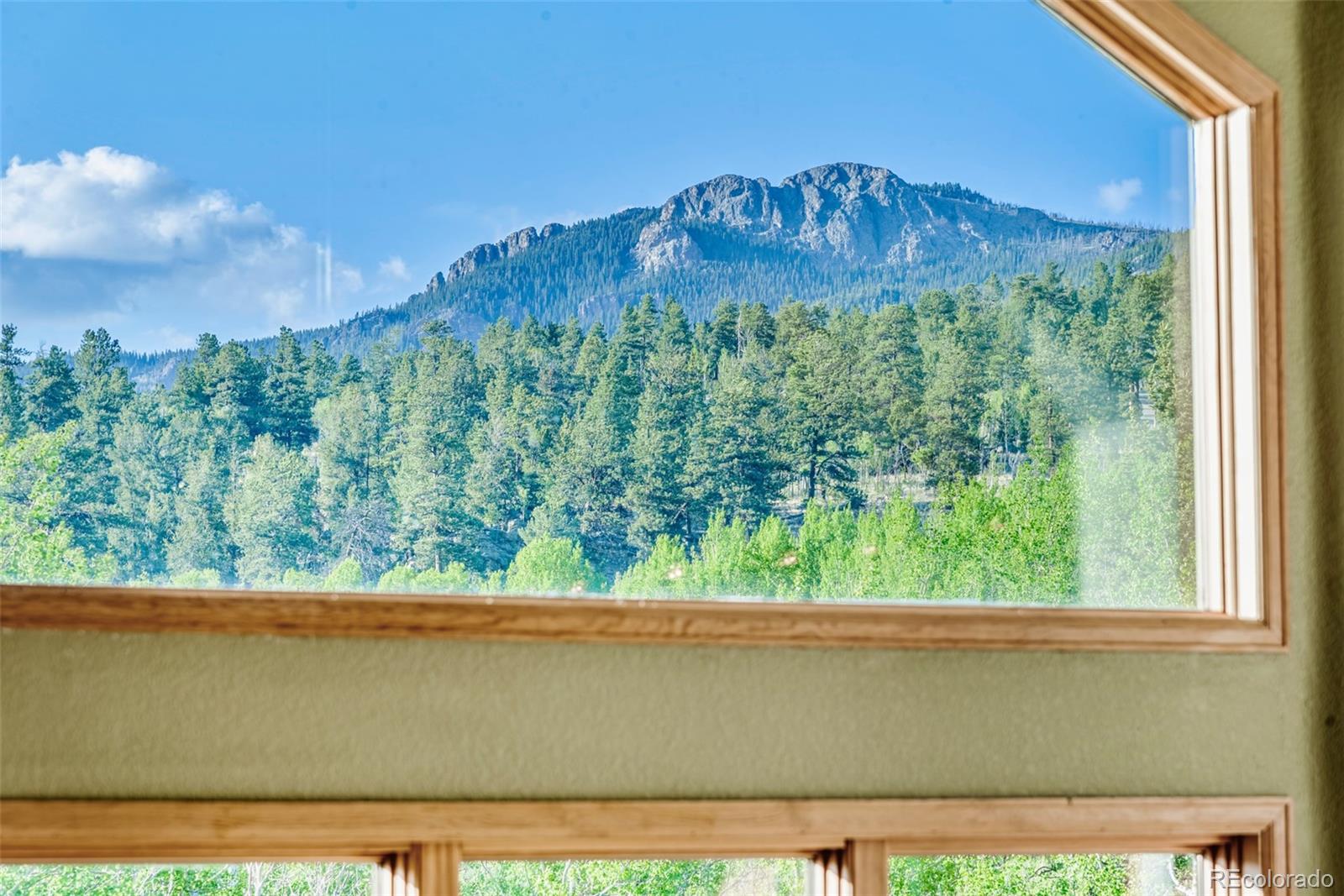 MLS Image #22 for 1996  al gulch road,jefferson, Colorado