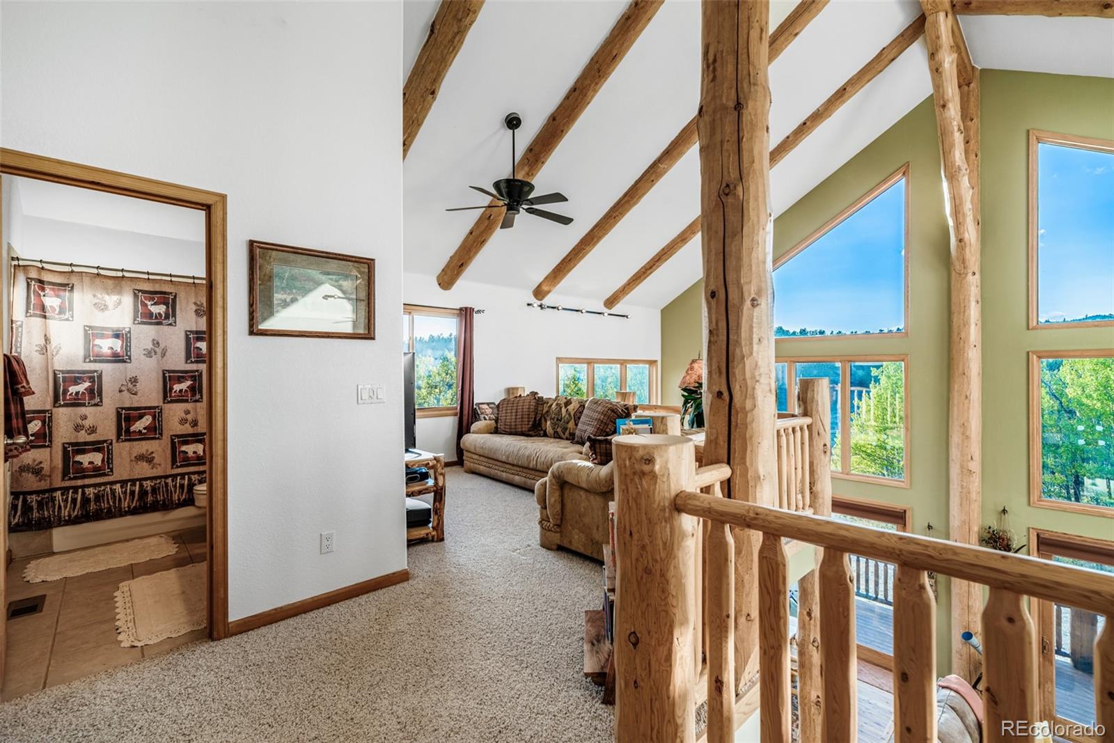 MLS Image #24 for 1996  al gulch road,jefferson, Colorado