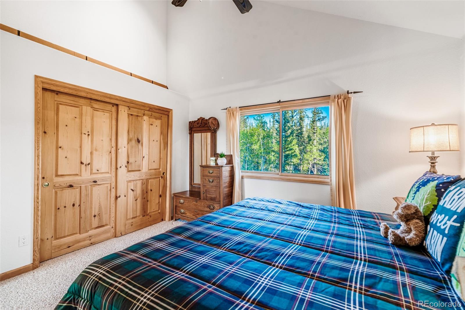 MLS Image #29 for 1996  al gulch road,jefferson, Colorado
