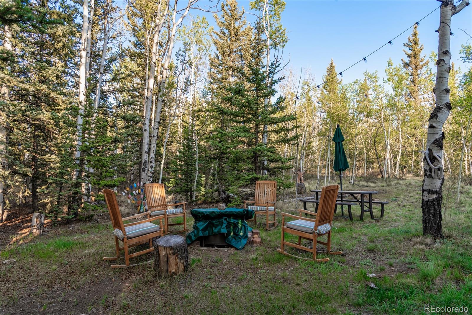 MLS Image #42 for 1996  al gulch road,jefferson, Colorado