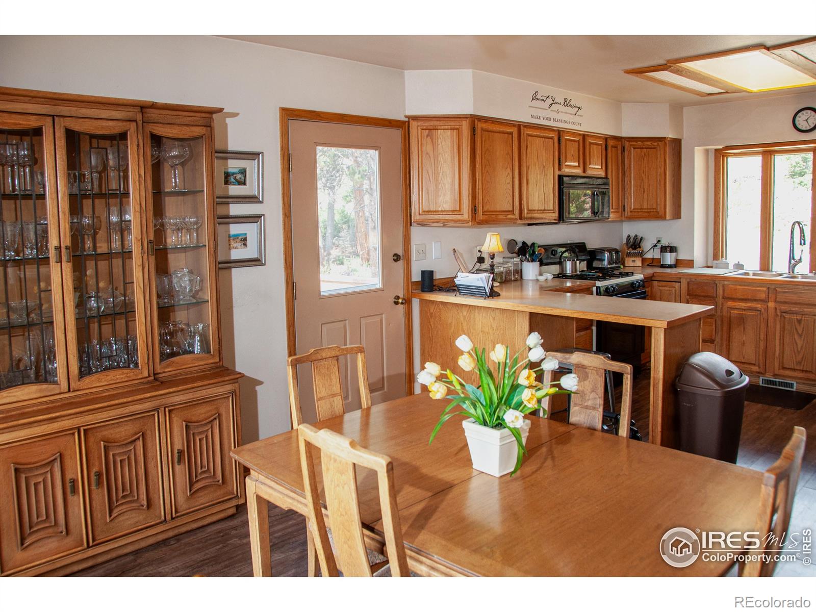 MLS Image #12 for 118  alpine drive,estes park, Colorado