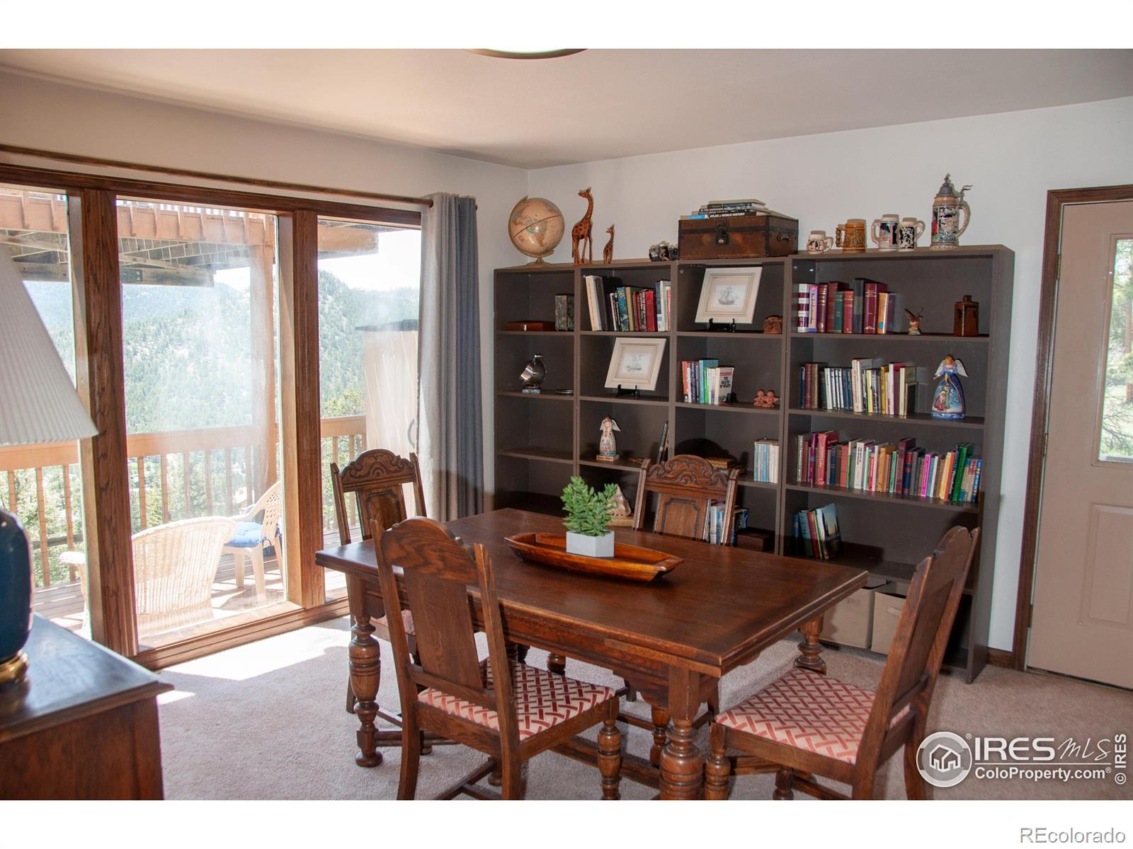 MLS Image #21 for 118  alpine drive,estes park, Colorado