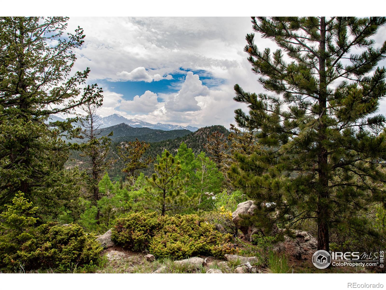 MLS Image #33 for 118  alpine drive,estes park, Colorado