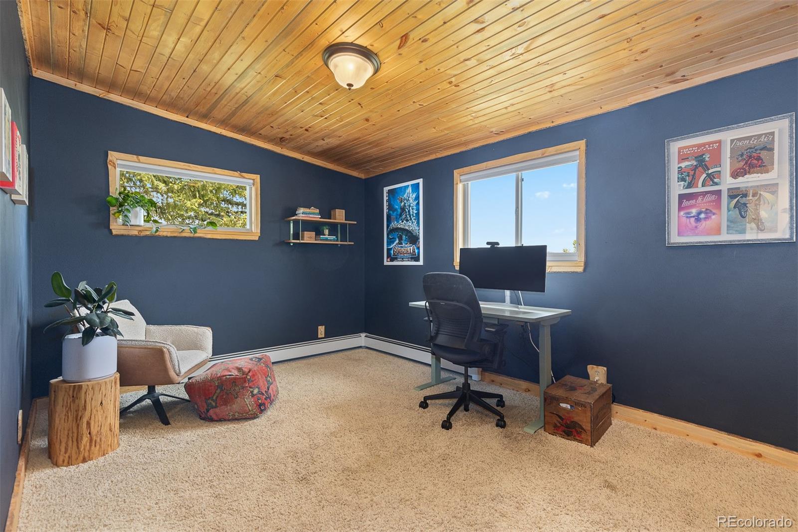 MLS Image #17 for 24030  san isabel road,indian hills, Colorado