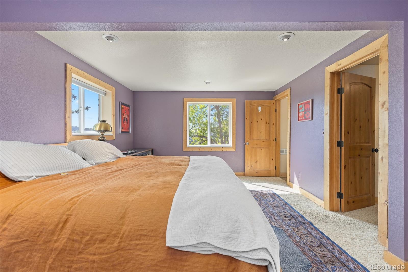MLS Image #26 for 24030  san isabel road,indian hills, Colorado