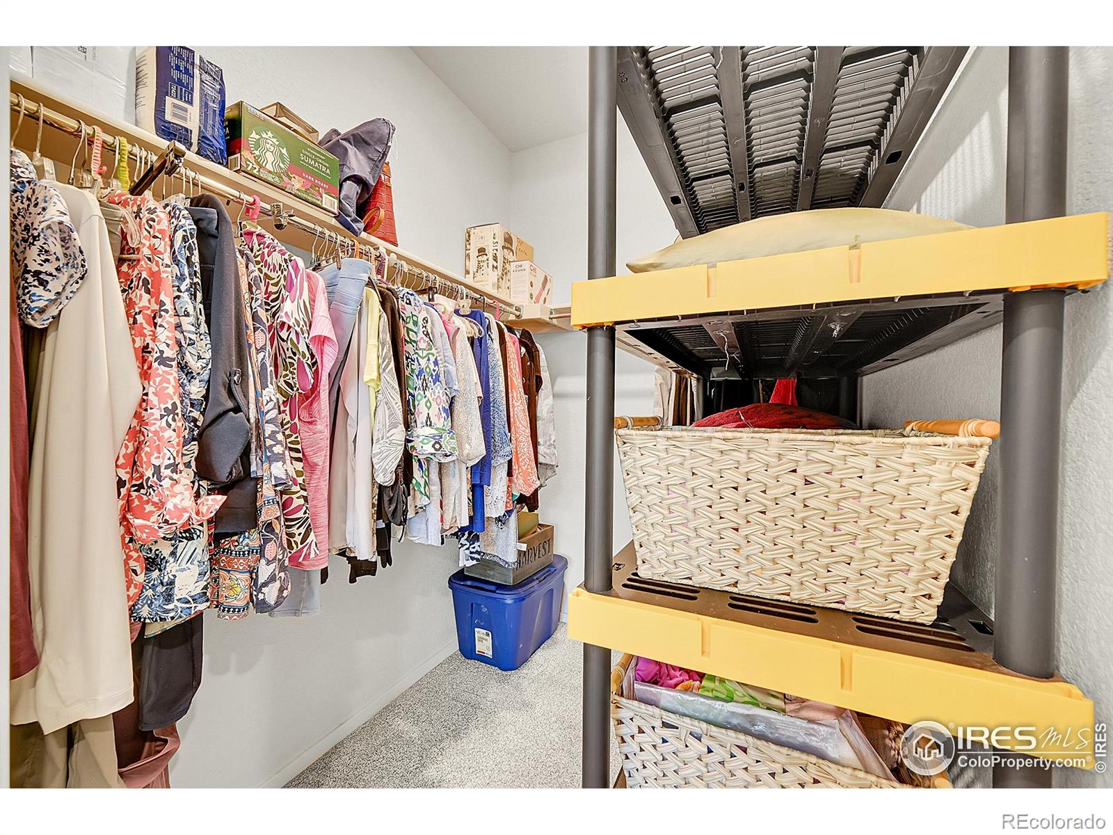 MLS Image #19 for 551  vicot way,fort collins, Colorado