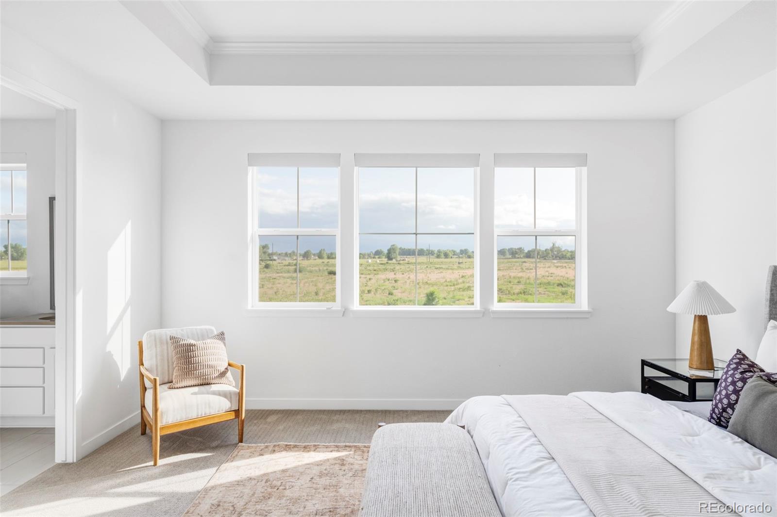 MLS Image #17 for 740  meadowlark drive,erie, Colorado
