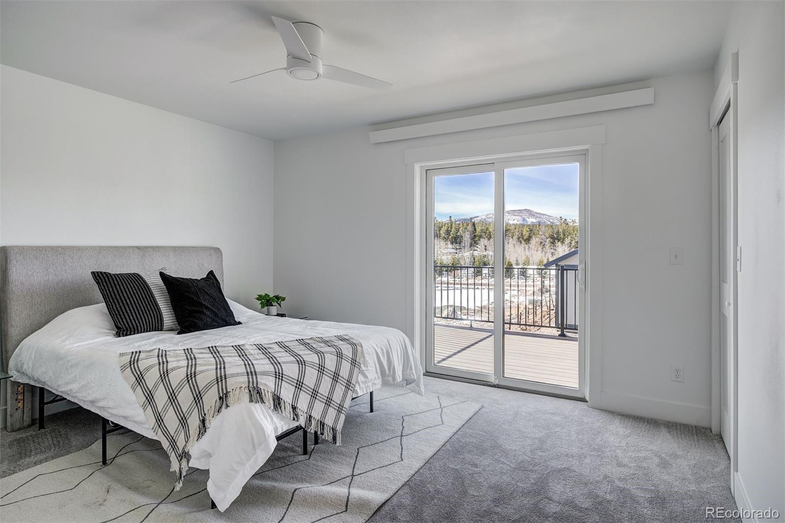 MLS Image #15 for 74  star rock drive,fairplay, Colorado