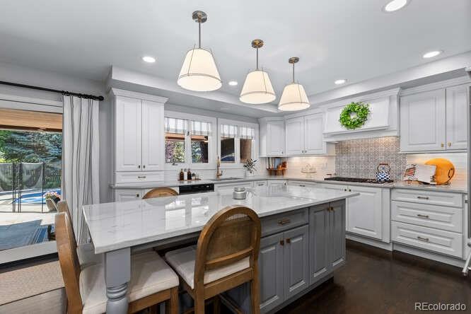 MLS Image #10 for 5955  blue sage way,littleton, Colorado