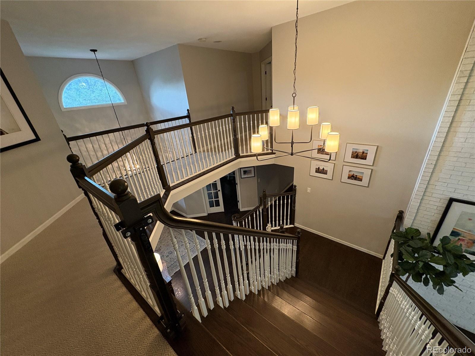 MLS Image #8 for 5955  blue sage way,littleton, Colorado