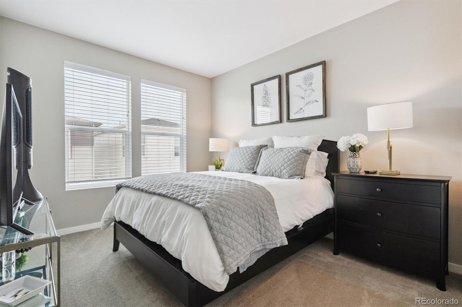 MLS Image #24 for 8883  ramblestone street,highlands ranch, Colorado