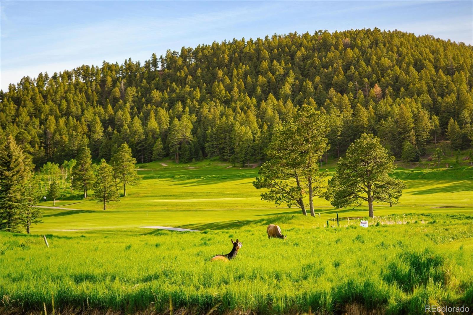 MLS Image #15 for 29822  troutdale scenic drive,evergreen, Colorado