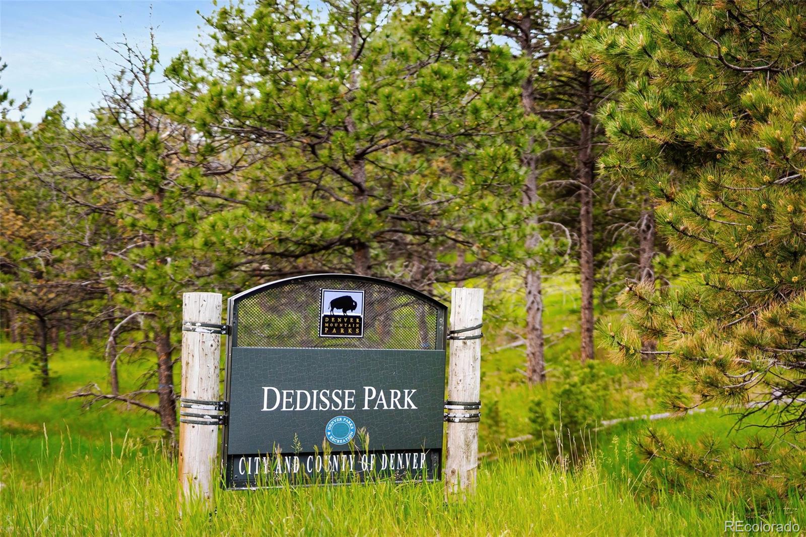 MLS Image #22 for 29822  troutdale scenic drive,evergreen, Colorado