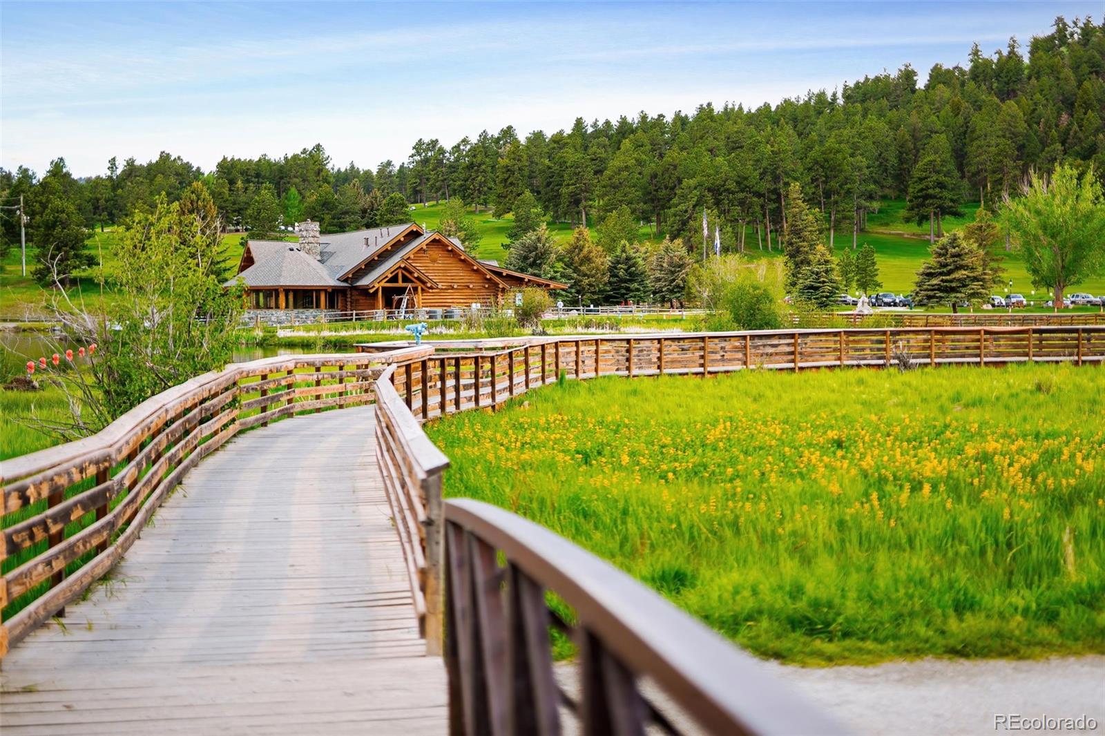 MLS Image #26 for 29822  troutdale scenic drive,evergreen, Colorado