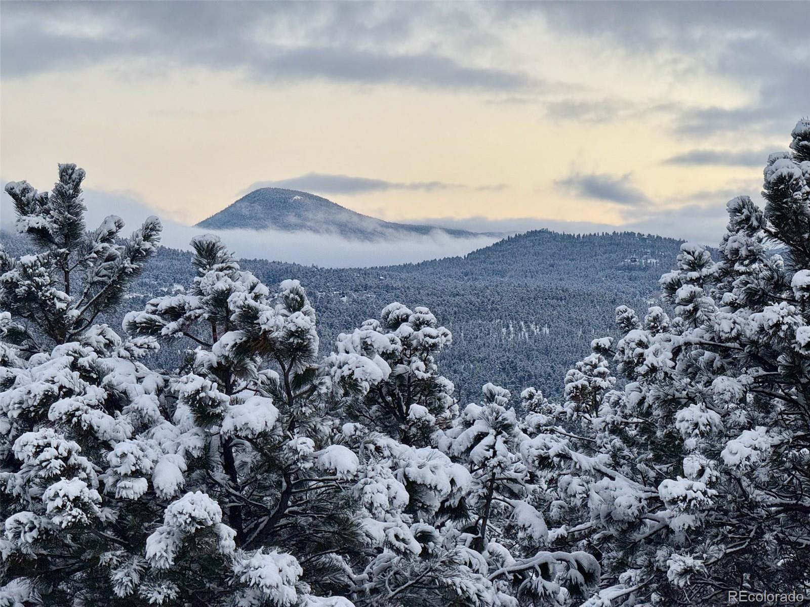 MLS Image #42 for 29822  troutdale scenic drive,evergreen, Colorado