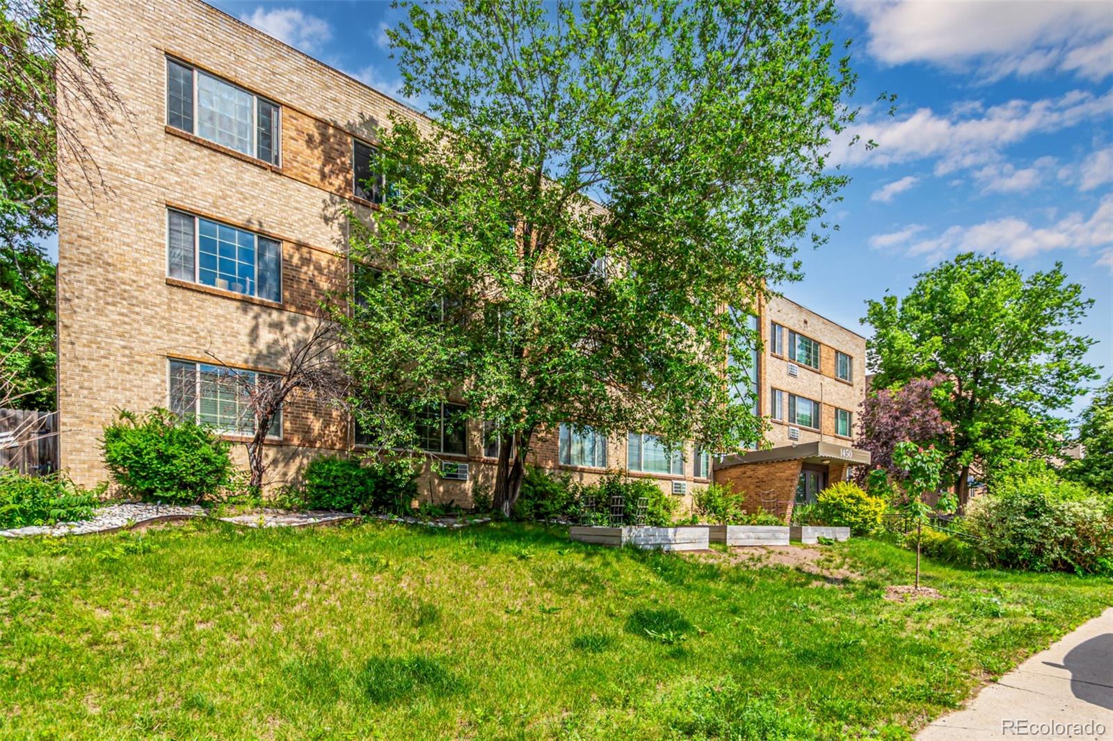 MLS Image #2 for 1450  albion street 204,denver, Colorado