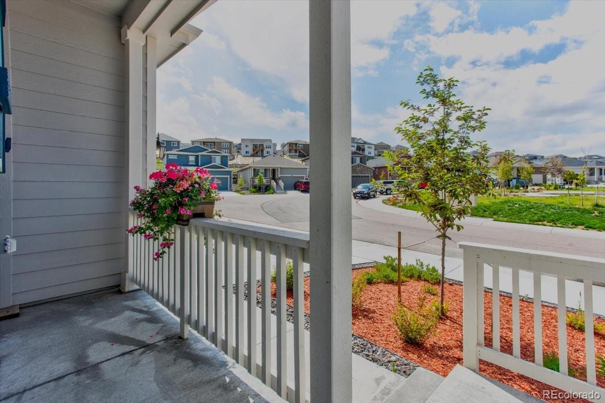 MLS Image #3 for 4505  cholla trail,castle rock, Colorado