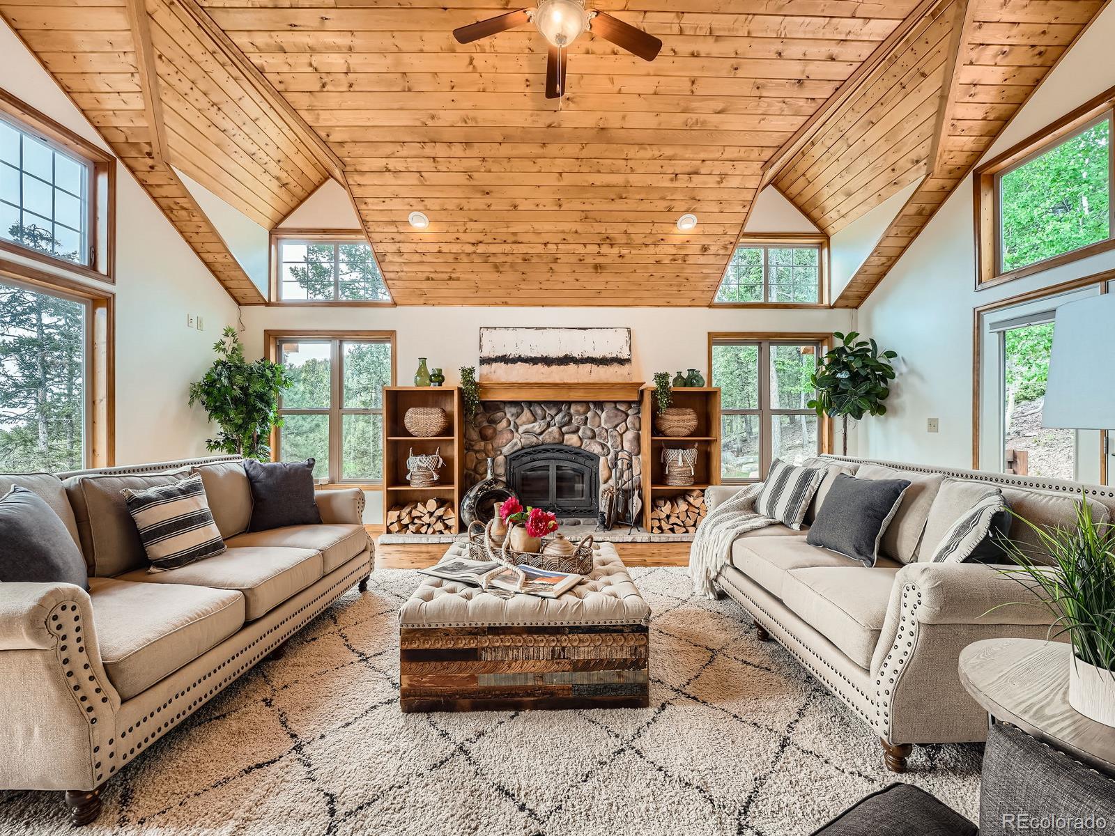 MLS Image #10 for 1527 s pine drive,bailey, Colorado