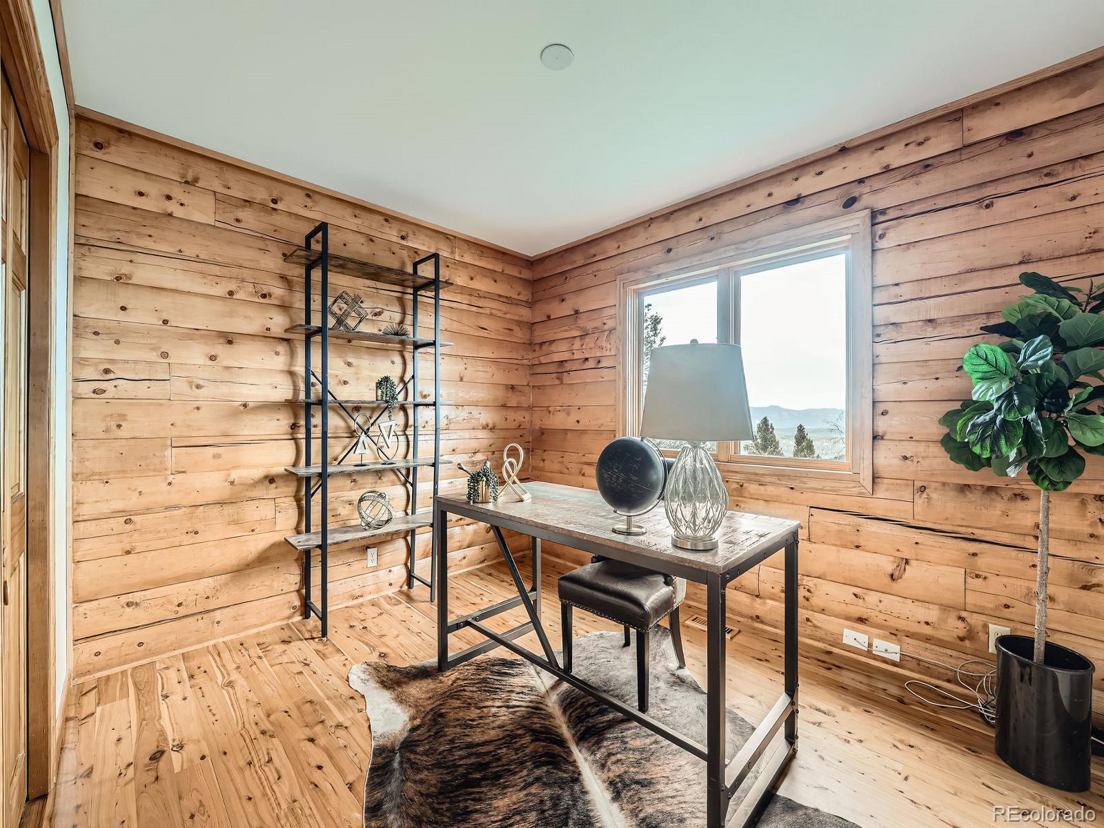 MLS Image #15 for 1527 s pine drive,bailey, Colorado