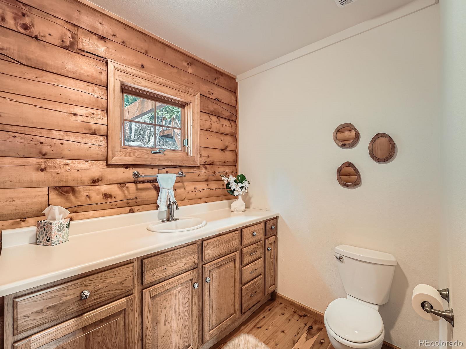MLS Image #19 for 1527 s pine drive,bailey, Colorado