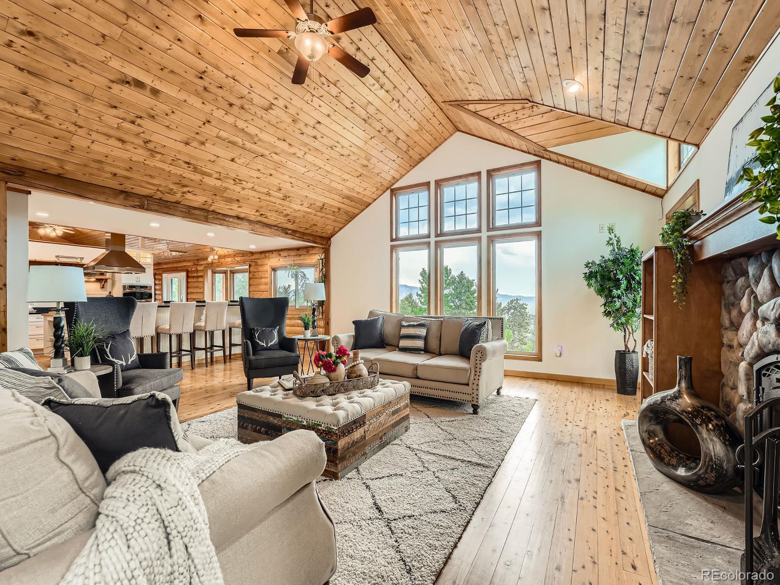 MLS Image #3 for 1527 s pine drive,bailey, Colorado
